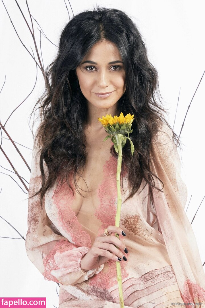 Emmanuelle Chriqui #28