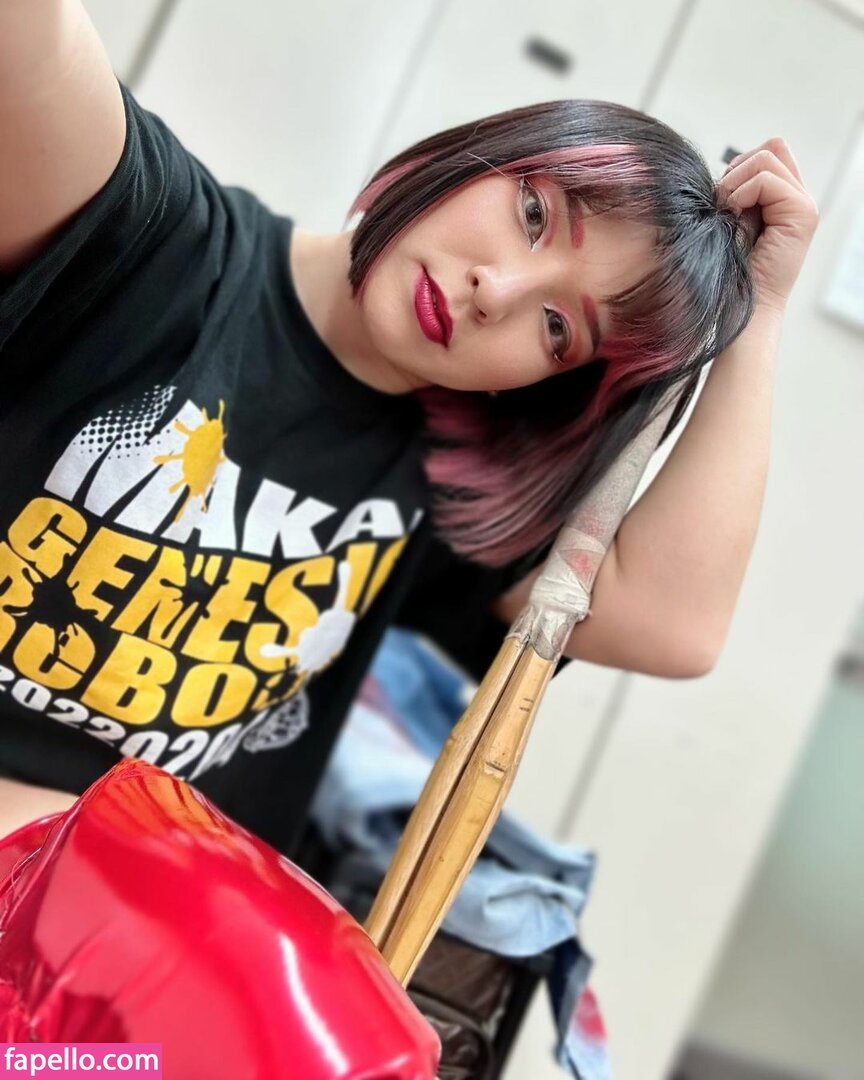 Hikaru Shida #25