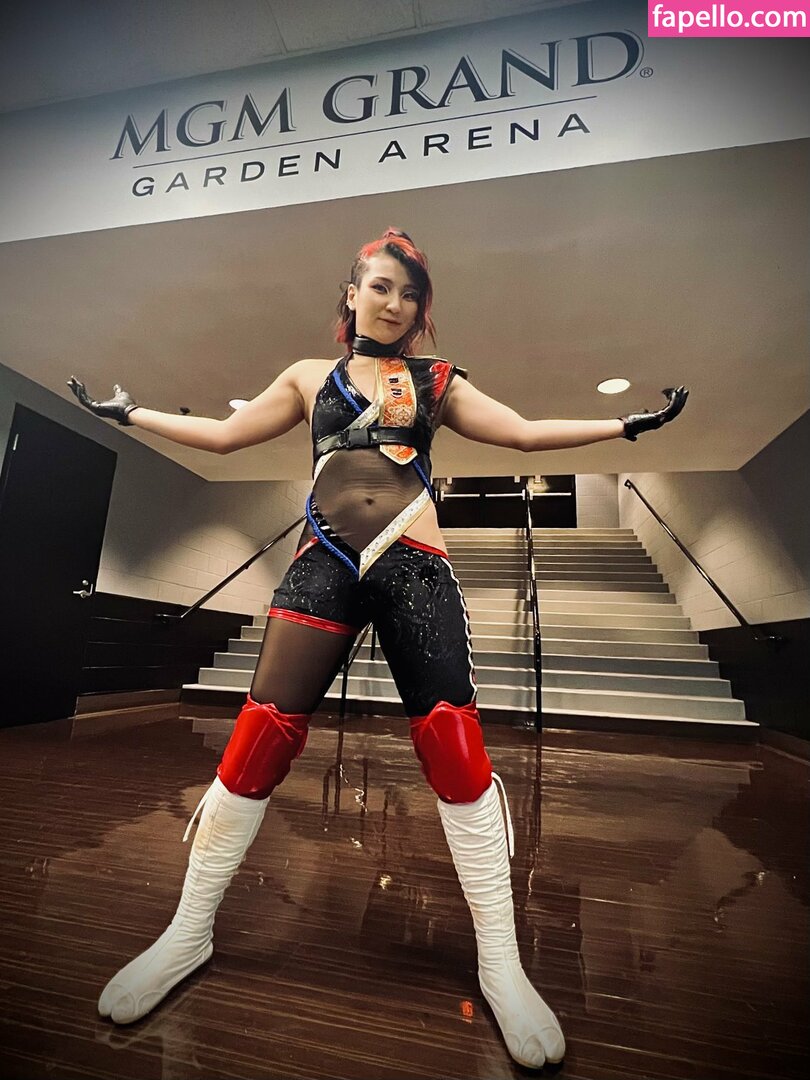 Hikaru Shida #37