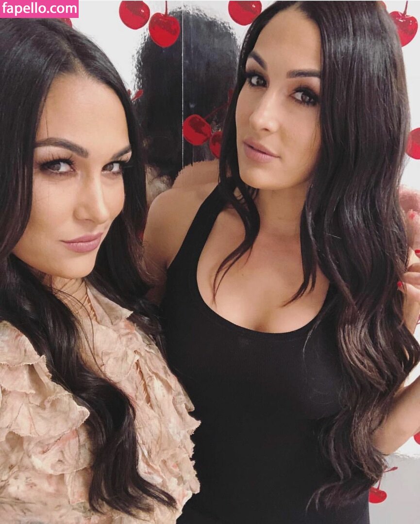 The Bella Twins: #38