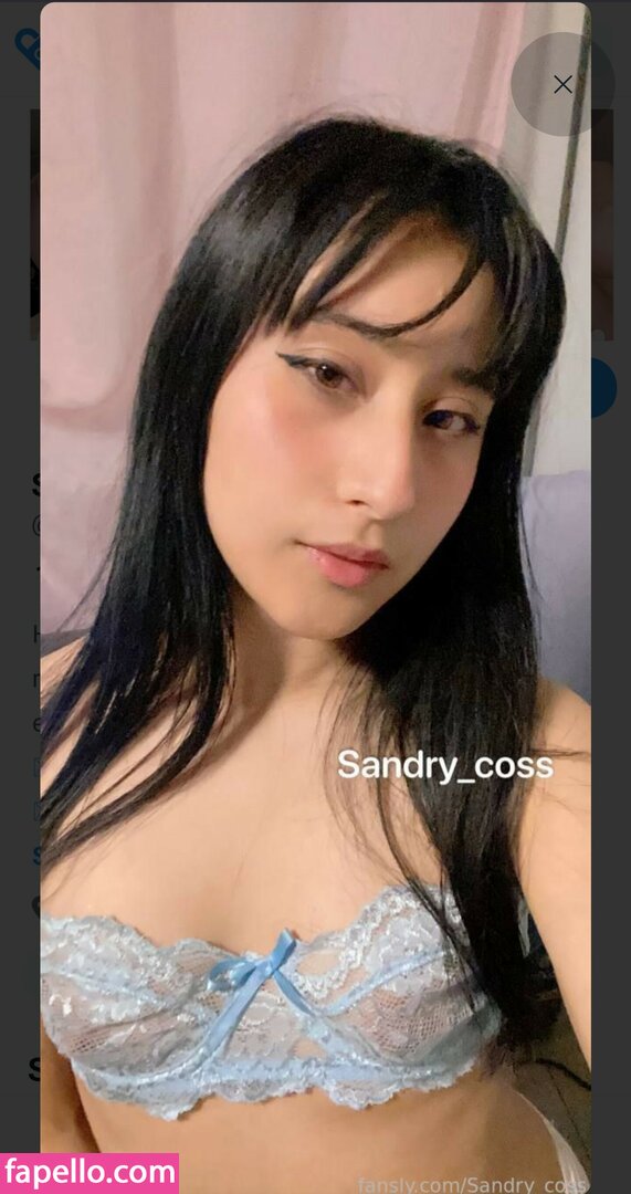 Sandry_coss #1