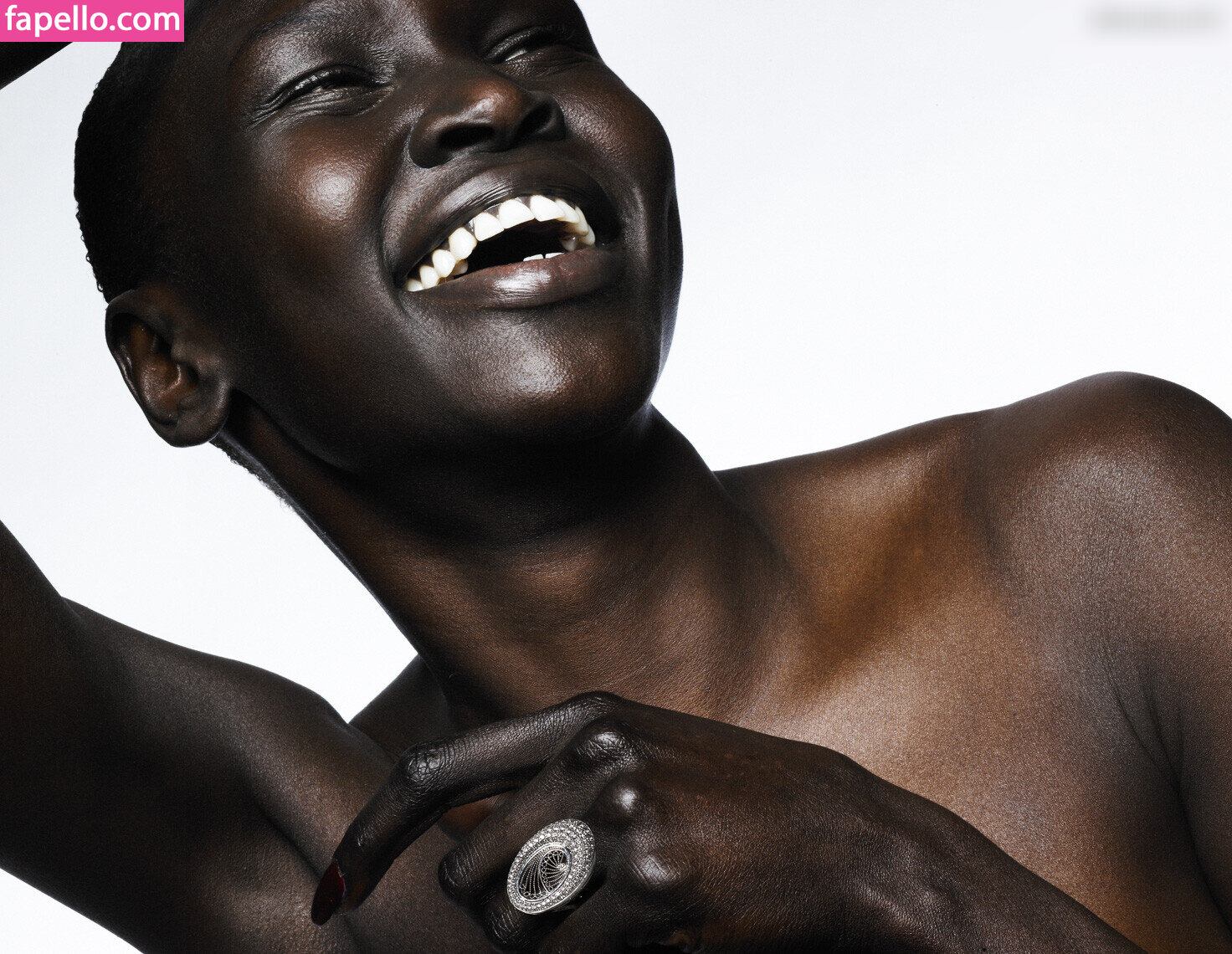 Alek Wek #2