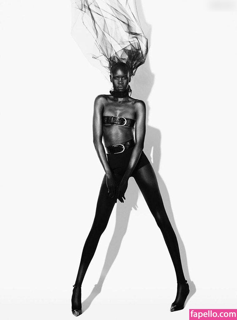 Alek Wek #3