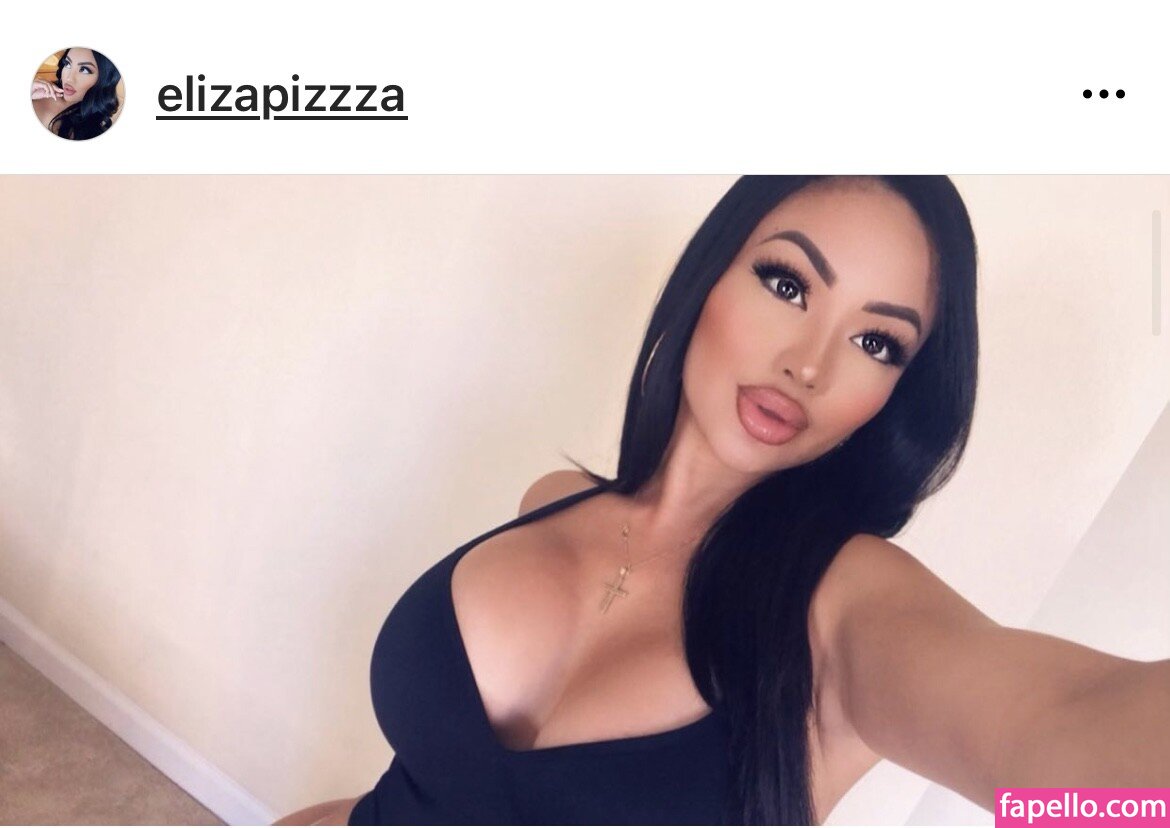 Elizapizzza #1